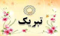 تقدیر دبیر شورای آموزش پزشکی عمومی از کارشناسان آموزشی دانشگاه